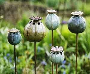 Garden Sculptures inspired by seed heads and flowers. Workshop with Bahareh Khomeiry Saturday 1st August 2026 10am-1pm
